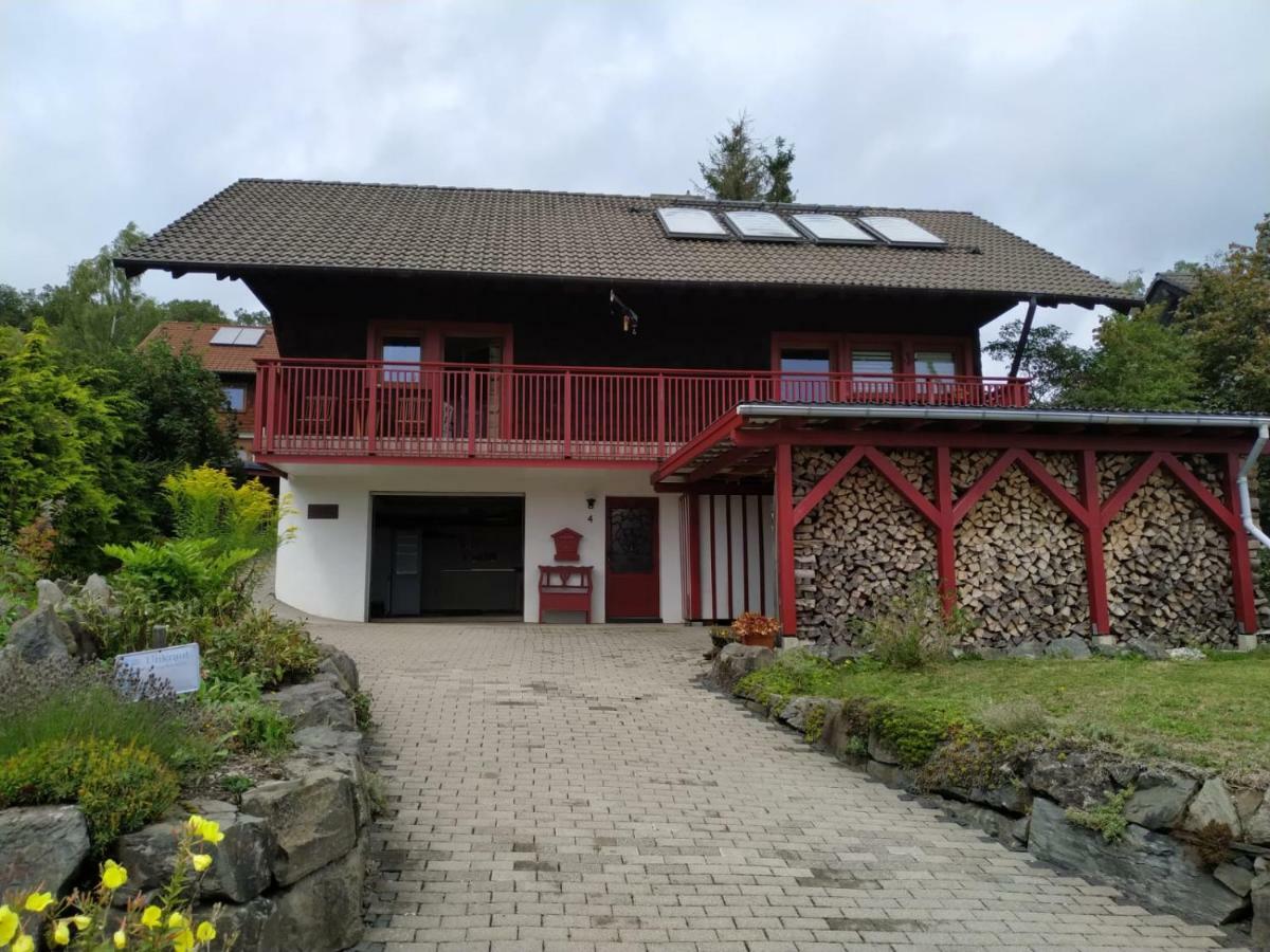 Ferienhaus Winterberg Bromskirchen Екстериор снимка